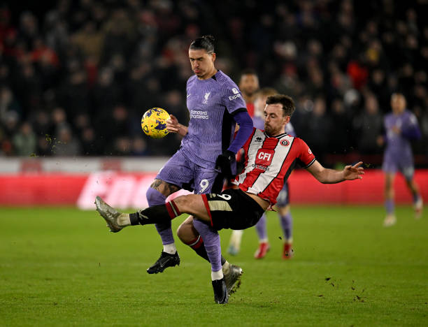 安排的影響 安排的影響